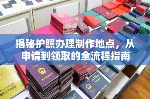 遂溪揭秘护照办理制作地点，从申请到领取的全流程指南